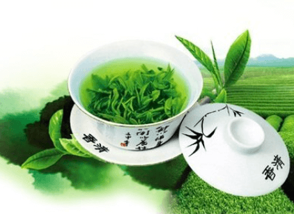 为了普洱茶代加工