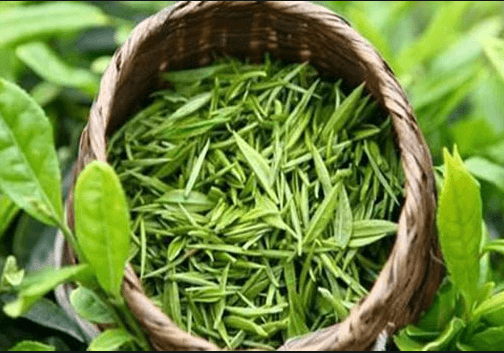 绿茶-普洱茶-普洱茶有什么功效和作用